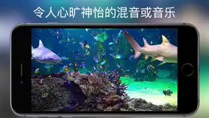 水族馆 HD