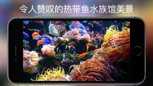 水族馆 HD